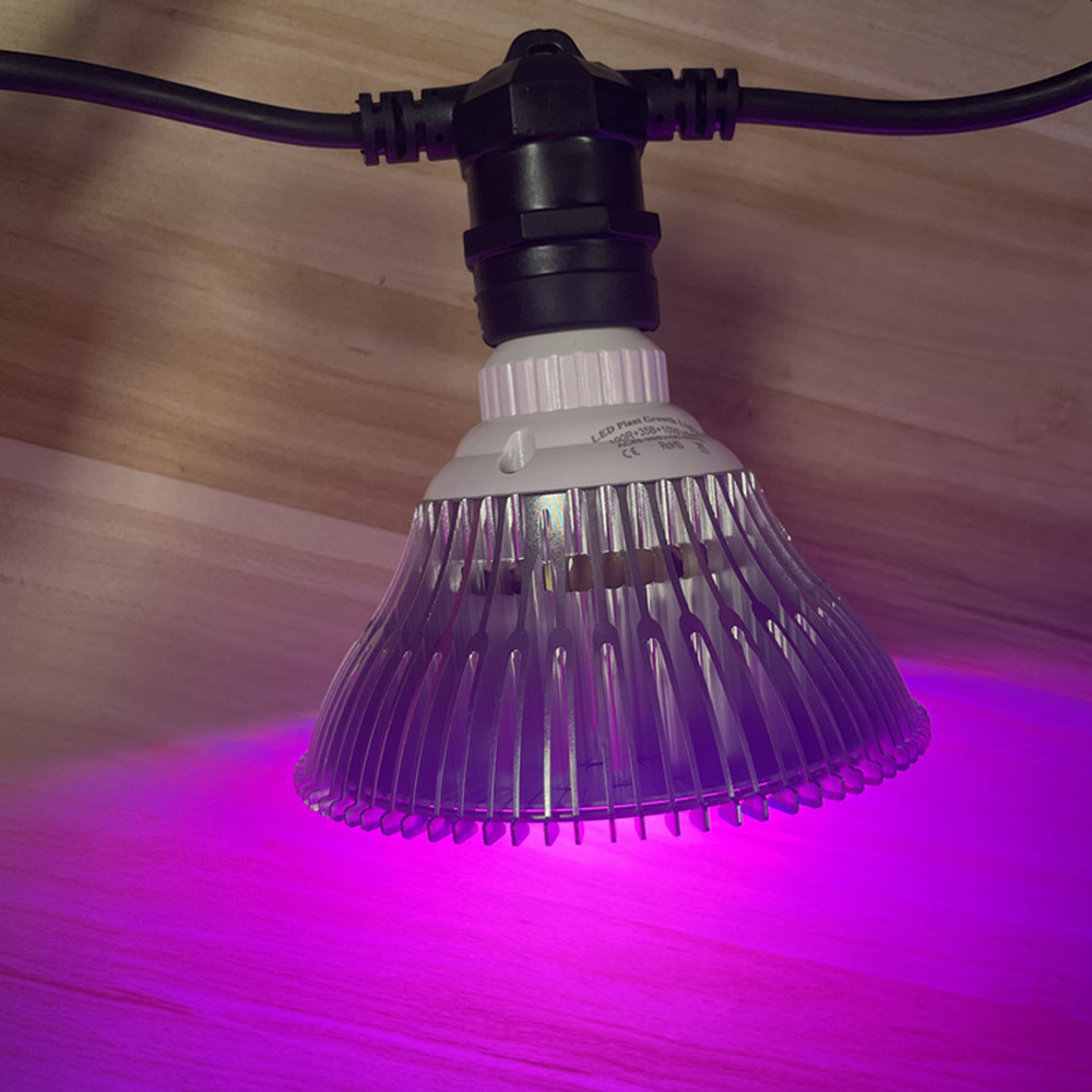 10M Cable LED String Commercia - Outdoor Lighting Wedding Decor recensie en prijs