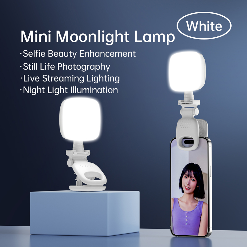 Portable LED Selfie Light Came - Lighting Gallery recensie en prijs