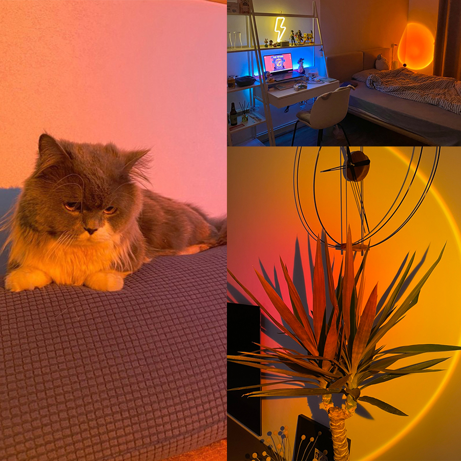 Smart Sunset Lamp Tuya LED Nig - Sunset Lamp Projection recensie en prijs