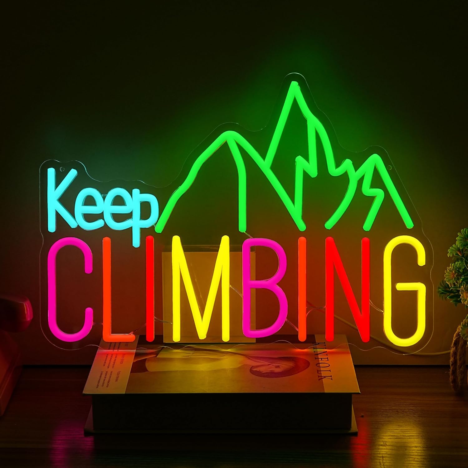 Keep Climbing Neon Sign USB Le - Garden Lighting Decor recensie en prijs
